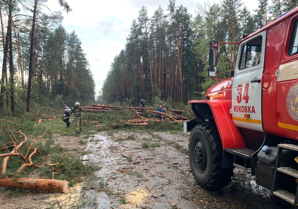 Спасатели ГКУ «Брянский пожарно – спасательный центр» принимают участие в работе по ликвидации последствий непогоды в Брянской области